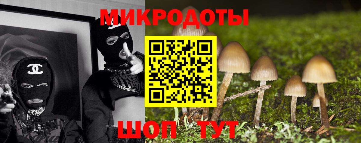 Щёлково  Галлюциногенные грибы MAGIC MUSHROOMS  Вход с VPN 